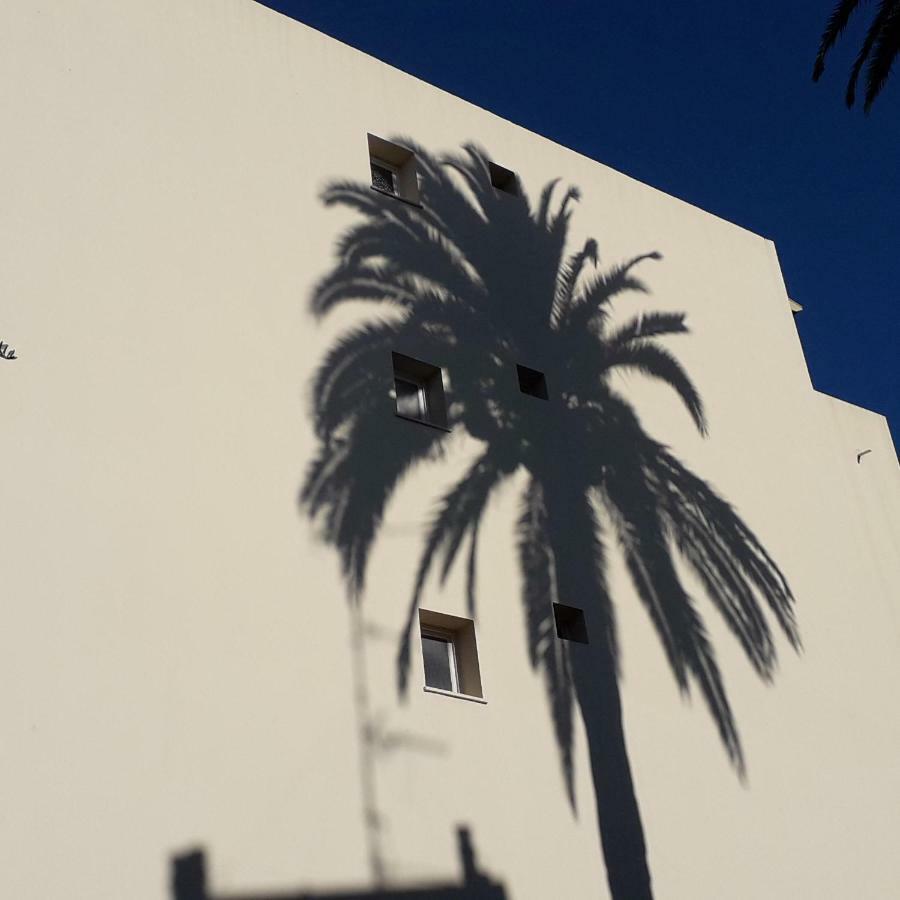 Les Pins . 2 P Calme Et Terrasse Lejlighed Nice Eksteriør billede